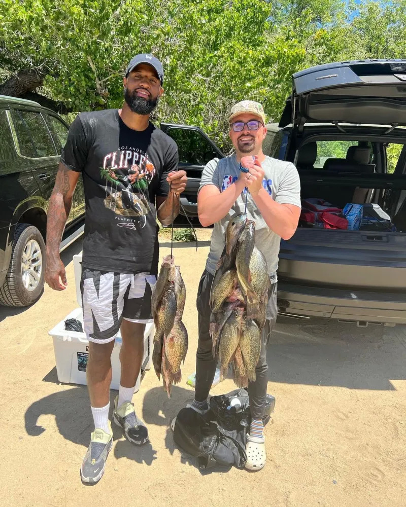 其他豪门的 其他豪门的