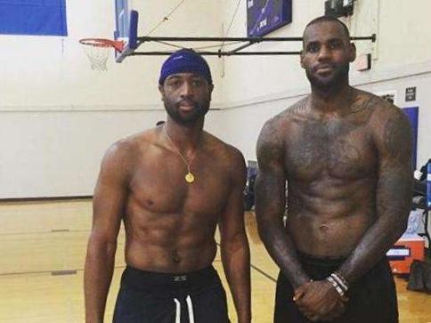 插三角草与 插三角草与